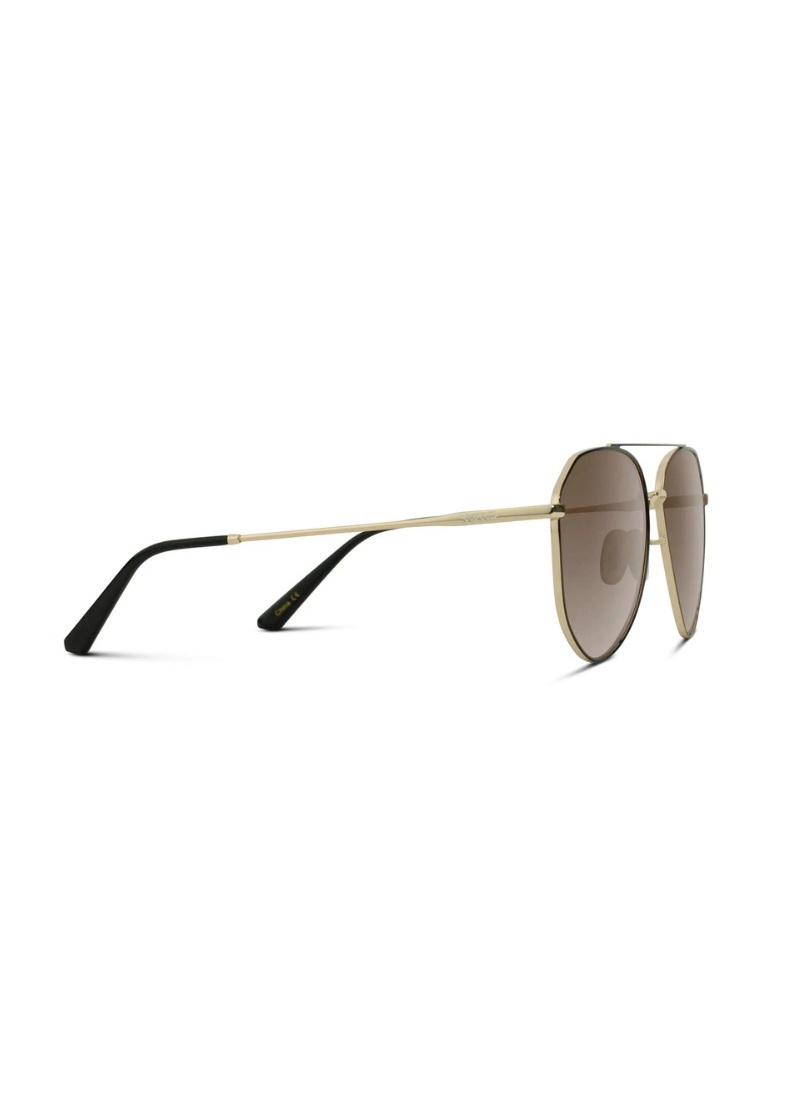 Ramsey Polarized Aviator Sunglasses
