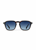 Francis Polarized Sunglasses