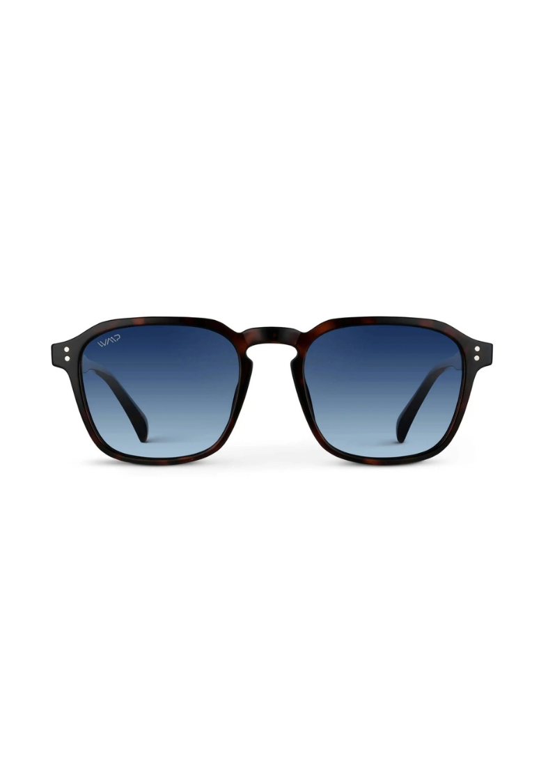 Francis Polarized Sunglasses