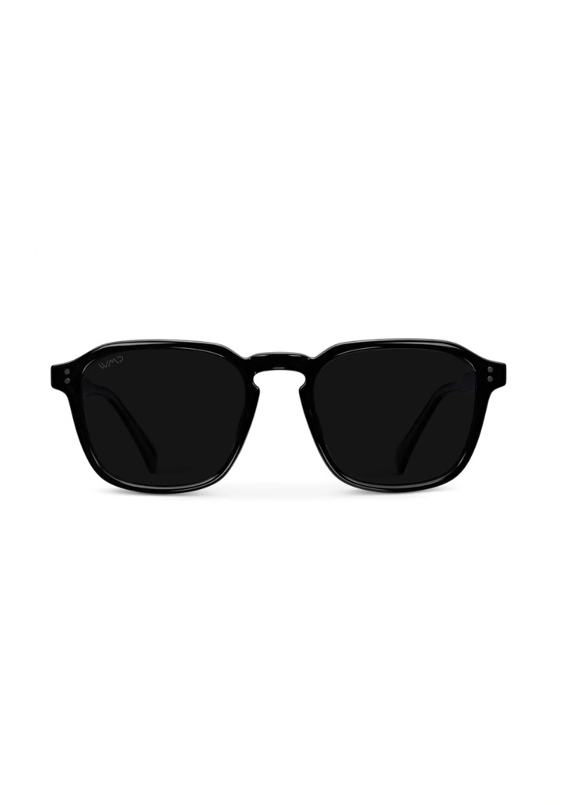 Francis Polarized Sunglasses