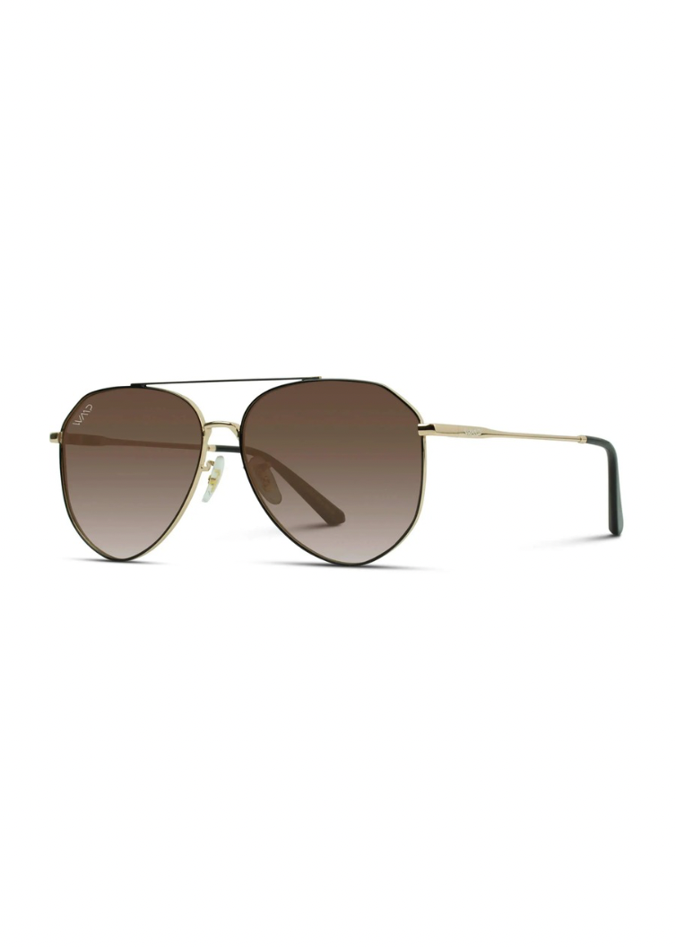 Ramsey Polarized Aviator Sunglasses