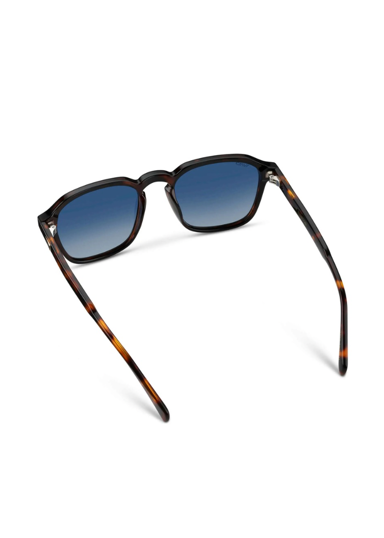 Francis Polarized Sunglasses