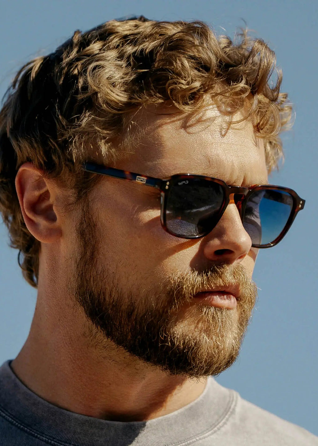 Francis Polarized Sunglasses