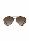 Ramsey Polarized Aviator Sunglasses