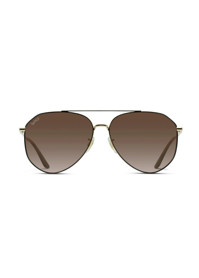 Ramsey Polarized Aviator Sunglasses