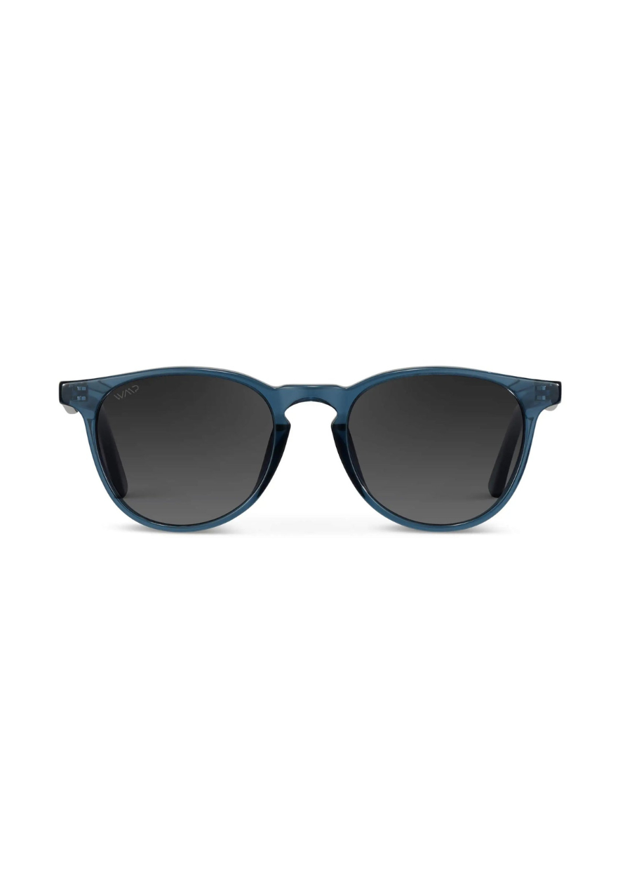 Blue Rowan Polarized Sunglasses
