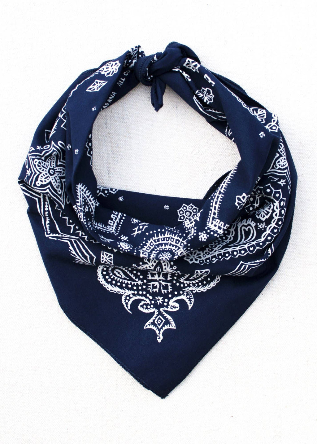 Navy Sketchy Paisley Bandana