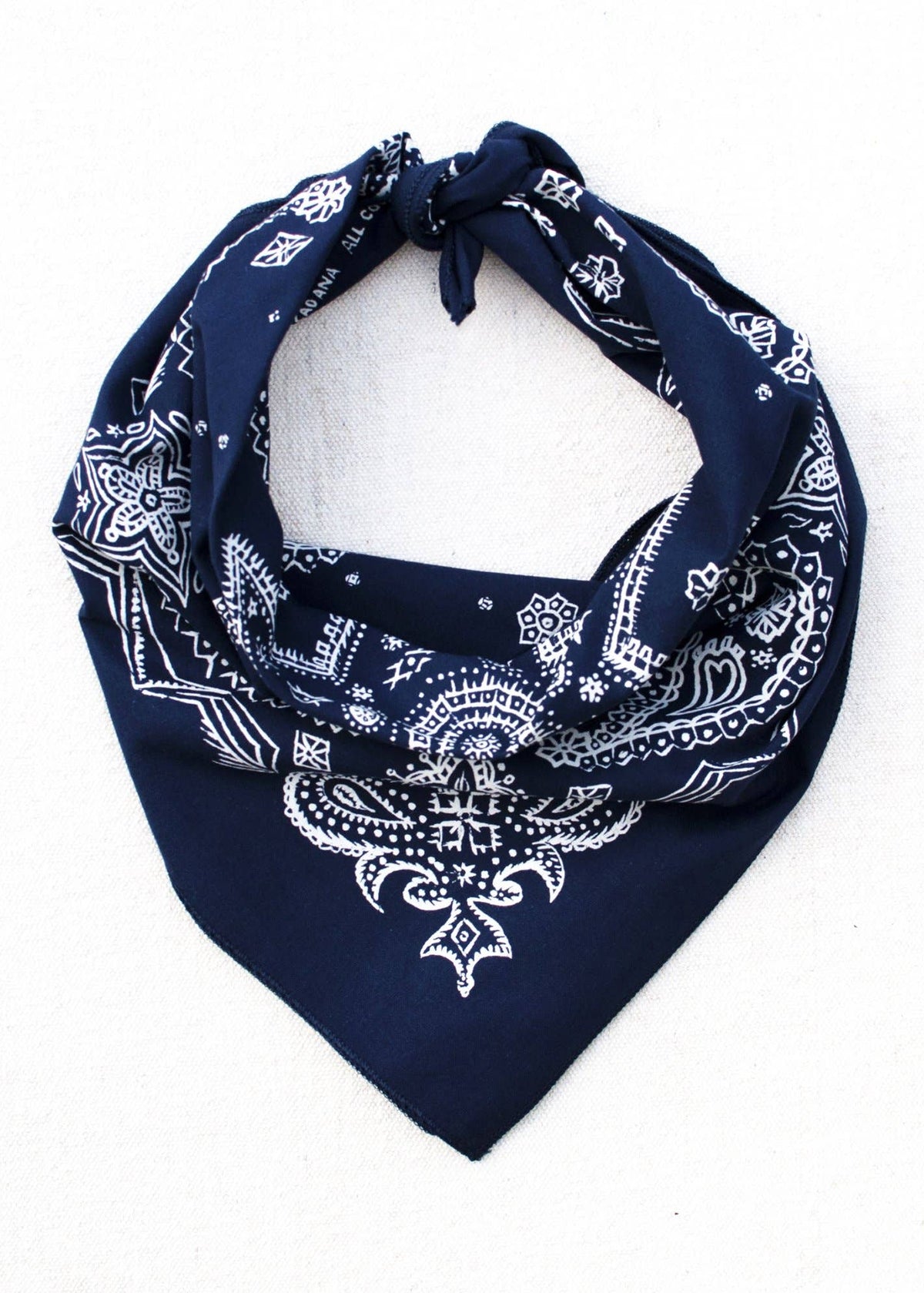 Navy Sketchy Paisley Bandana