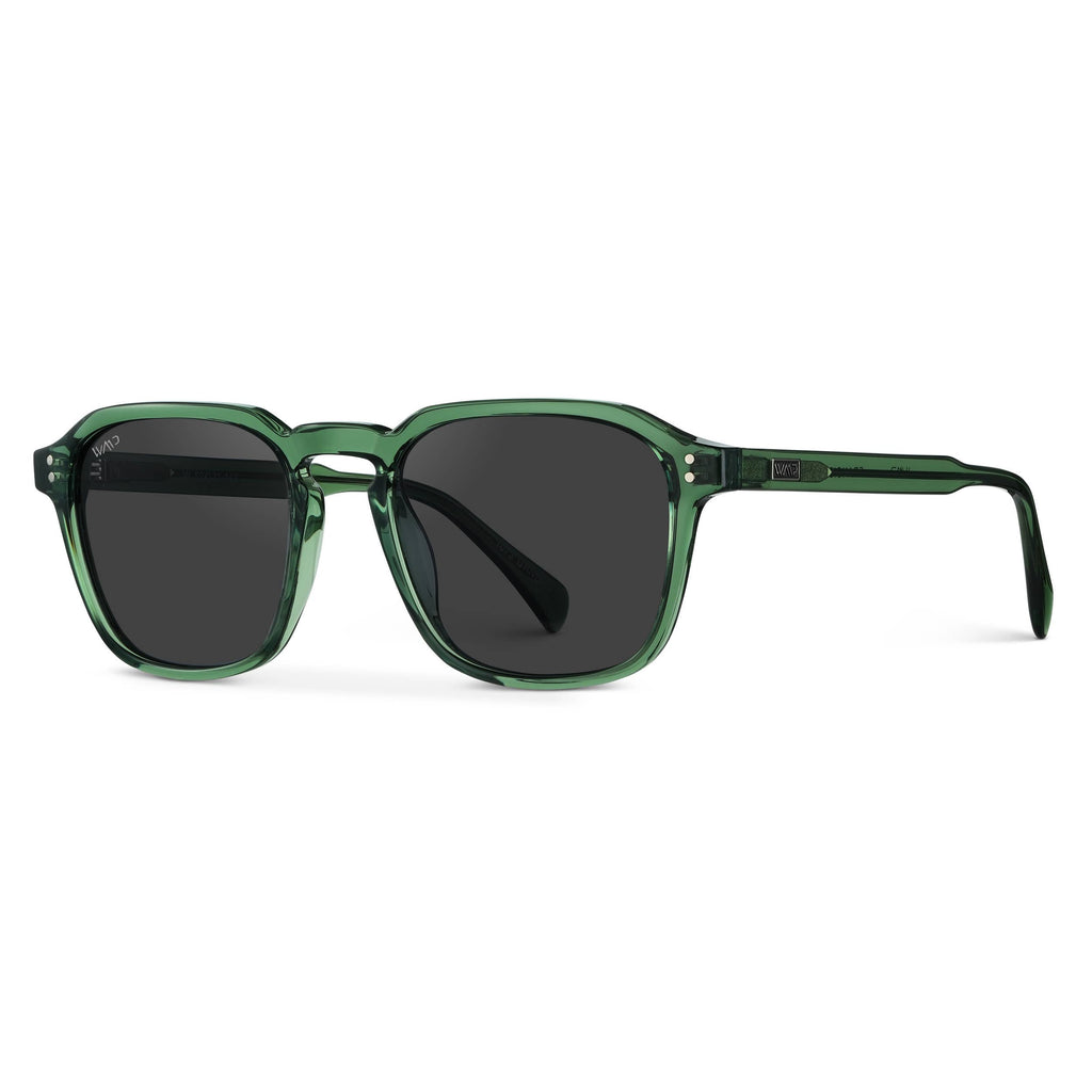 Francis Polarized Sunglasses